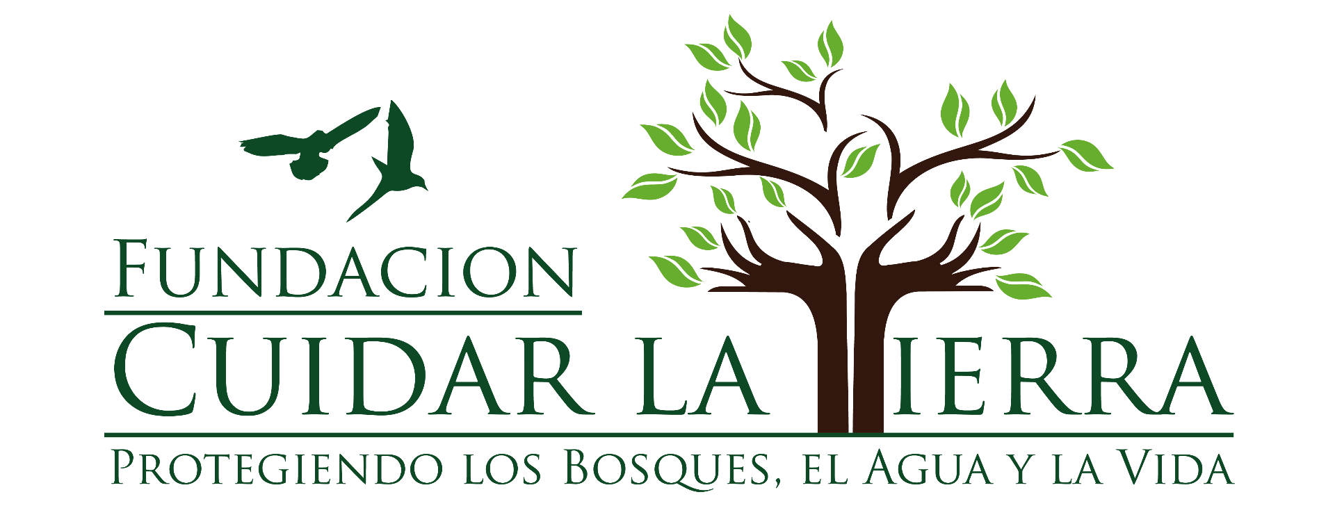 Fundación Cuidar La Tierra
